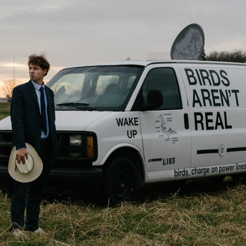 Birds Are Not Real