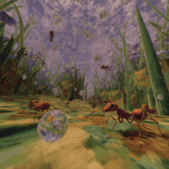 Restless Egg Dawn Chorus w/ Séb Krier: 22nd June '25