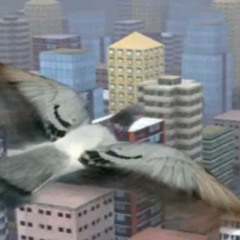 hummingbird disstrack