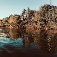 Expanding Minds In A Flawless Reality: Part II - Villa O'Higgins