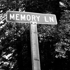 KAMIKAZI - ALIVE IN THE MOMENT