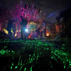 Live @ The Firedance - Den Bosch - 29-9-2024