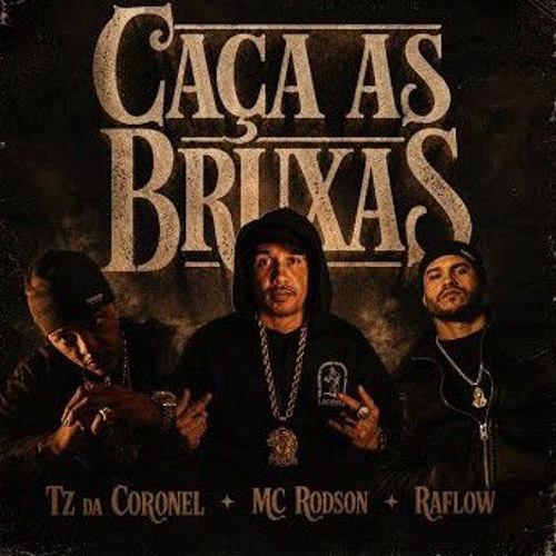 PAPO NA LÓGICA - Tz Da Coronel, Raflow, MC Rodson