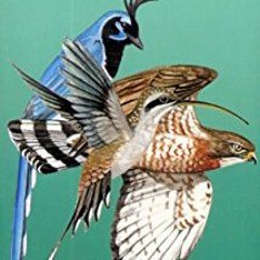 [READ] [PDF EBOOK EPUB KINDLE] Mexico Pacific Coast Birds Guide (Laminated Foldout Po