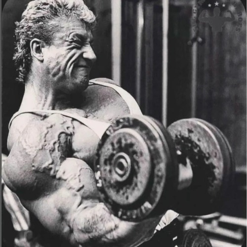 Dorian Yates X Merry Go Rould Of Life