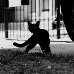 heart wants what it wants