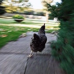 MANG INASAL concept (2020)