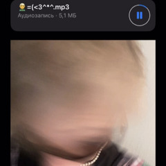 шайни - snippet