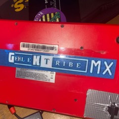 Gehlektribe MX [1 Hour Mono Version] (GehLekTek Live @ Urban Fields - 10.08.2024)
