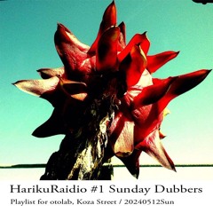 HarikuRadio #1 -Sunday Dubbers-.wav