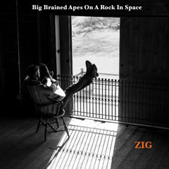 Big Brained Apes On A Rock In Space