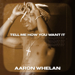 Aaron Whelan- Tell Me How You Want It
