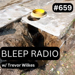 Bleep Radio #659 w/ Trevor Wilkes [Just The Crevasses]