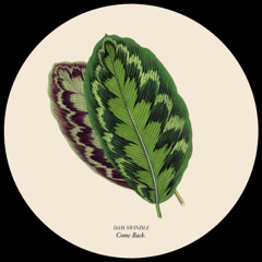 PREMIERE: Dam Swindle - The Last Time (K-LONE's 2-Step Mix)