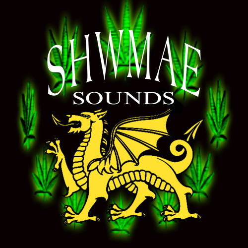 Shwmae Rocks Stream JTSBZ - TECHNO NOISE BOOTLEG (FREE DL) by SHWMAE SOUNDS | Listen ...