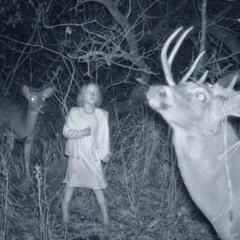 Nebbia (feat. Attila) [prod. Dutchrevz]