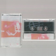 THEFT FOR PLEASURE TAPE