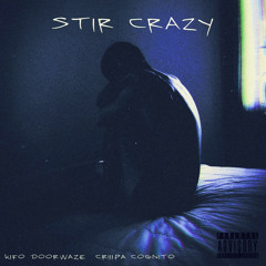 Stir Crazy Ft. Criiipa Cognito (Prod. by Whonickt)