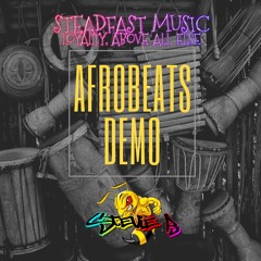 Afro Beats Demo By Stevie B.WAV