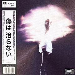 SCARS CANT HEAL [FULL ALBUM]