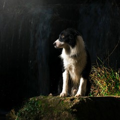 目隠し(Live Edit)