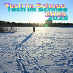 Tech im Schnee 2025 Demo