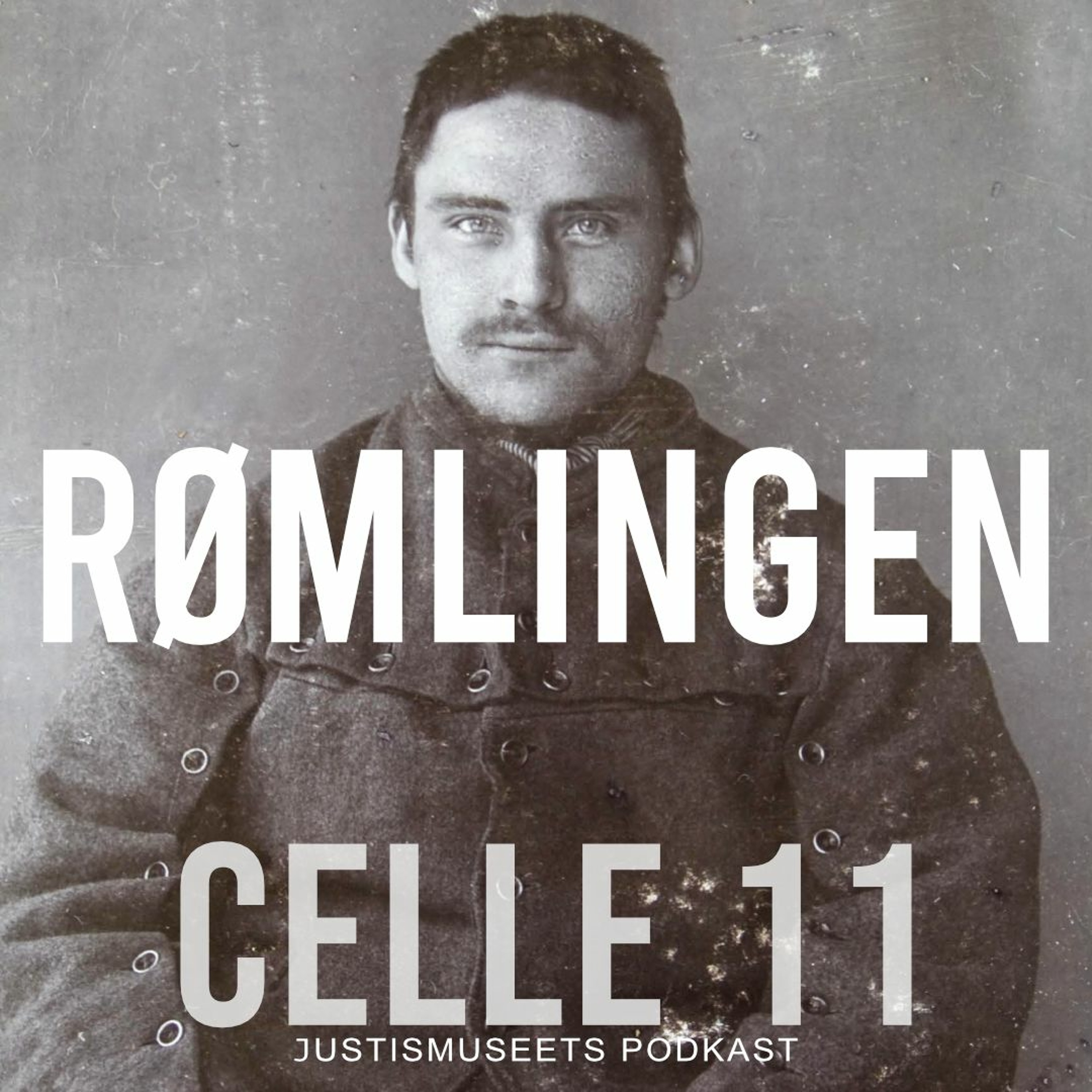 Celle 11