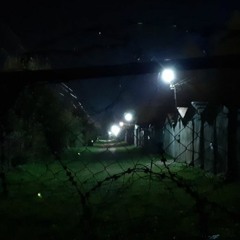 REMIND (ON ALL PLATFORMS)