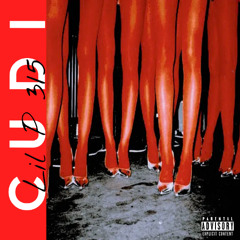 cudi p.wellmeetingyou