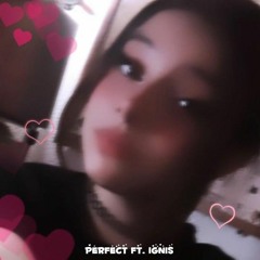 Perfect ft.1gnis [prod. Doggie X jang0]