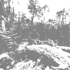 Ecosystem [352] (2022)