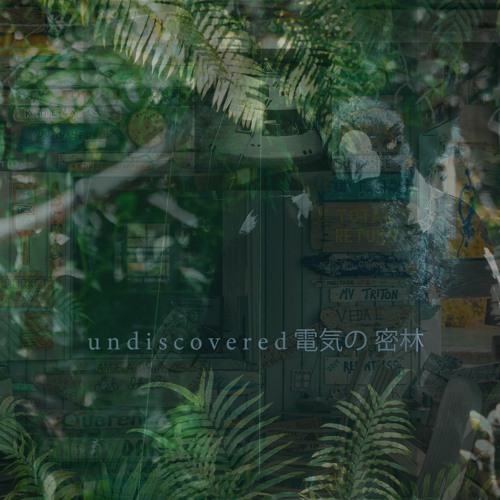 u n d i s c o v e r e d 電気の密林