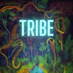 TRIBE - Ethnic Downtempo Mix