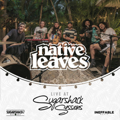 Lemonade Stand (Live at Sugarshack Sessions)