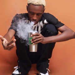 Wheezy Plug - Gringo da bosta