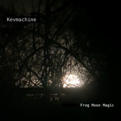 Frog Moon Magic