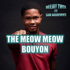 Meow Meow bouyon prod by deejay twix ft esem akdmiks