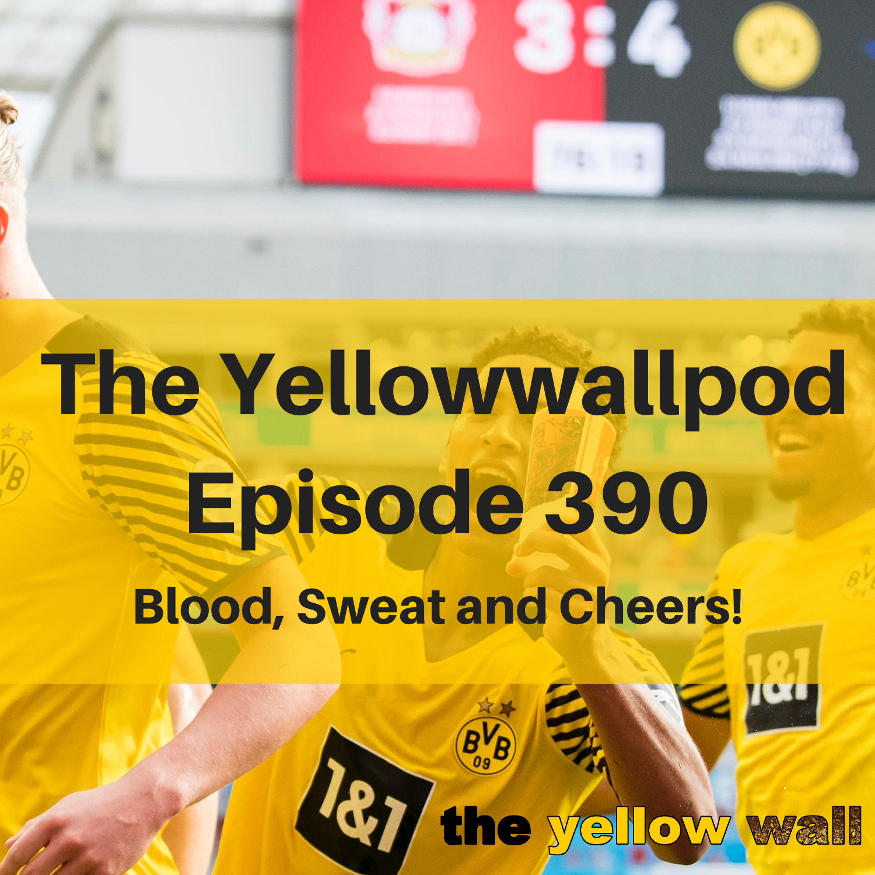Yellowwallpod