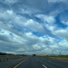 handful (safest flight)