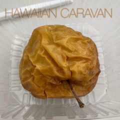 Hawaiian Caravan by Yugoslavisha (Guest Mix 005)