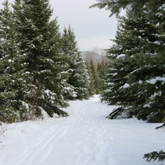 All You Need Is To Not Give Up - Soryu Forall