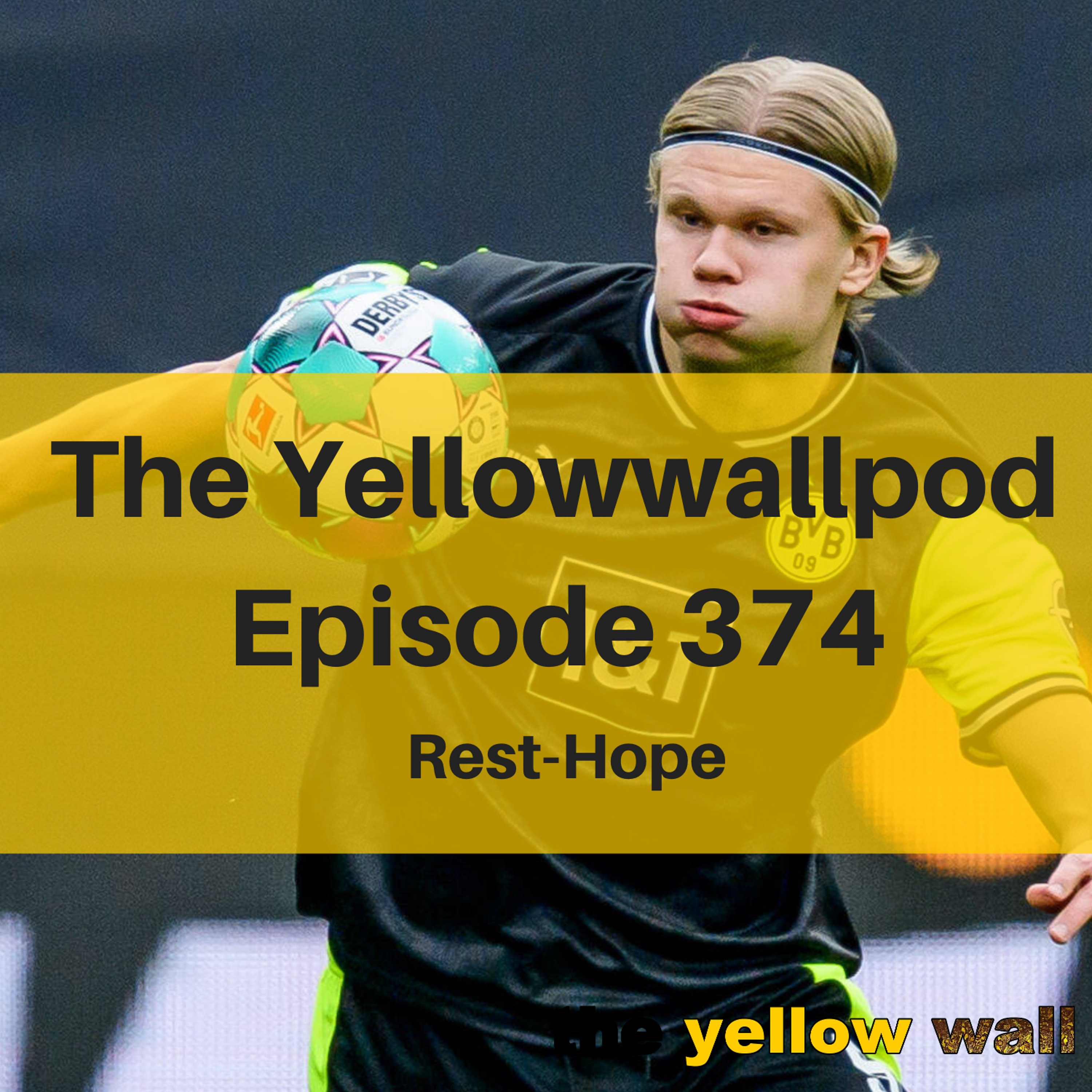 Yellowwallpod