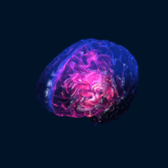 Brain porridge