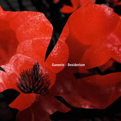 Gannein - Desiderium [GNRL002]