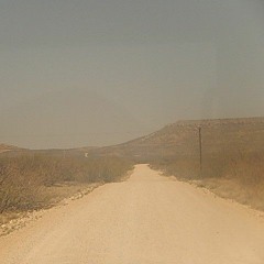 help me scrape the mucus off my brain