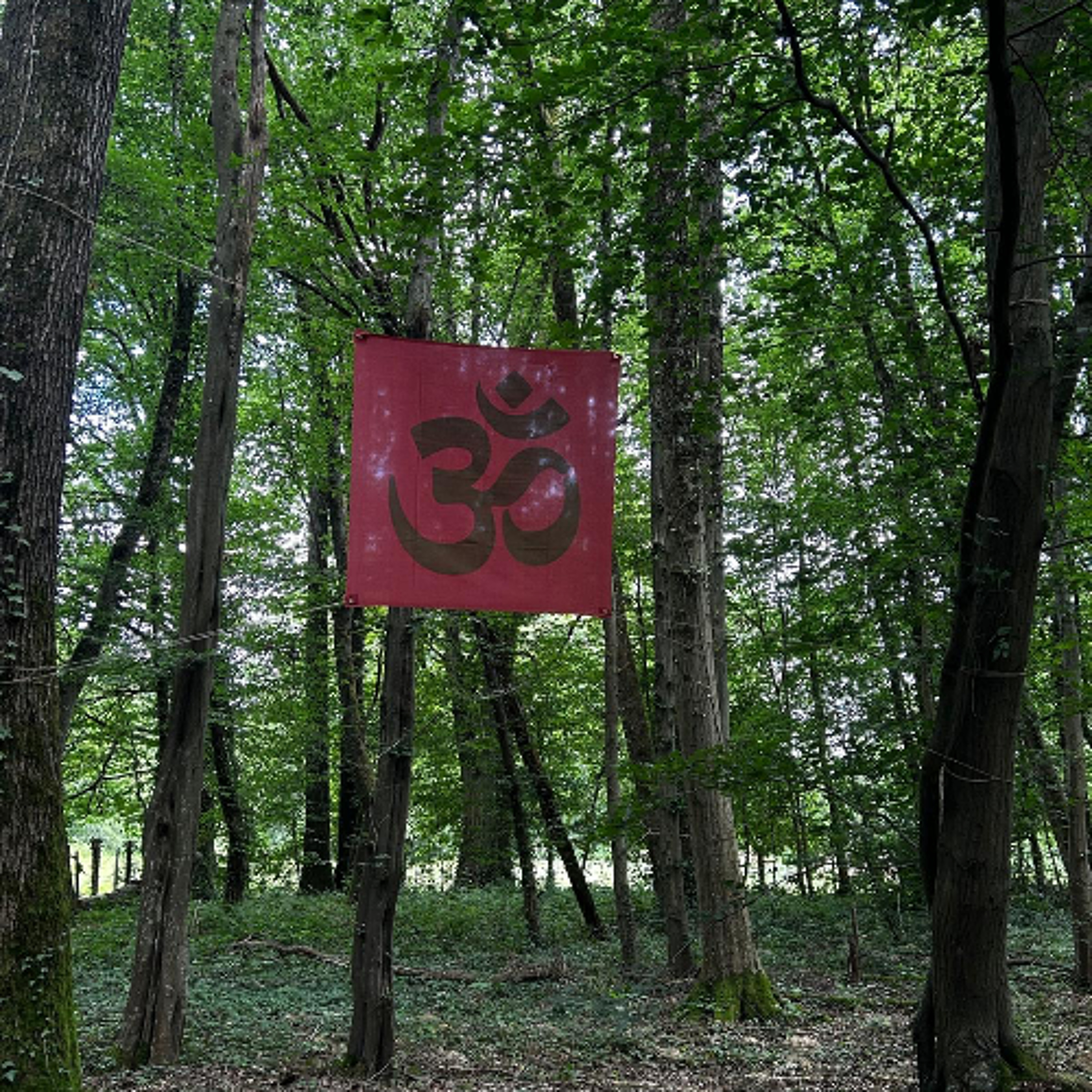 FOLLOW THE FLOW - PRATIQUES - AUM (samedi 13 juin 2026) episode artwork