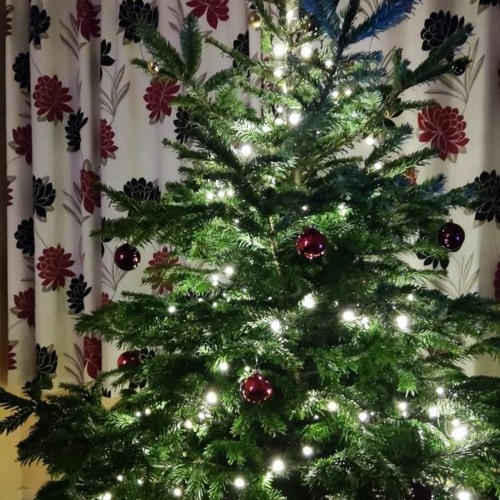 #12 Новогодний гайд по украшению ёлки / New Year's guide to decorating the Christmas Tree