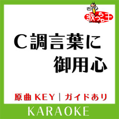 C調言葉に御用心(カラオケ)[原曲歌手:サザンオールスターズ］