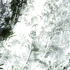 These Are The Words - Saw & Bass Remix