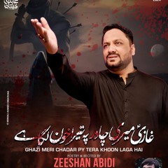 Ghazi Meri Chadar Pe Tera Khoon Laga Hai  --  Zeeshan Abidi  --  2024